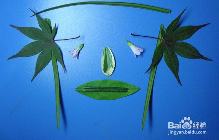 植物简笔画之快乐的思考者