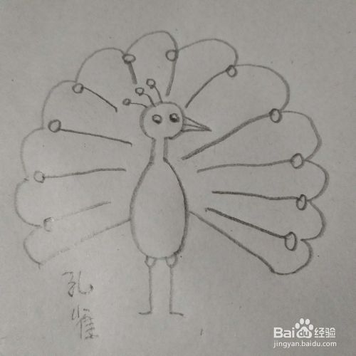 孔雀的简笔画