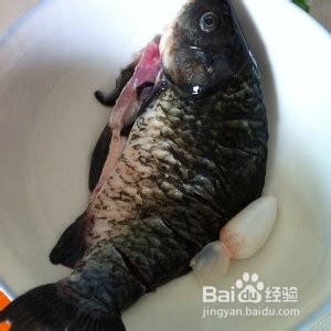 食补佳品番茄豆腐炖鲫鱼的做法