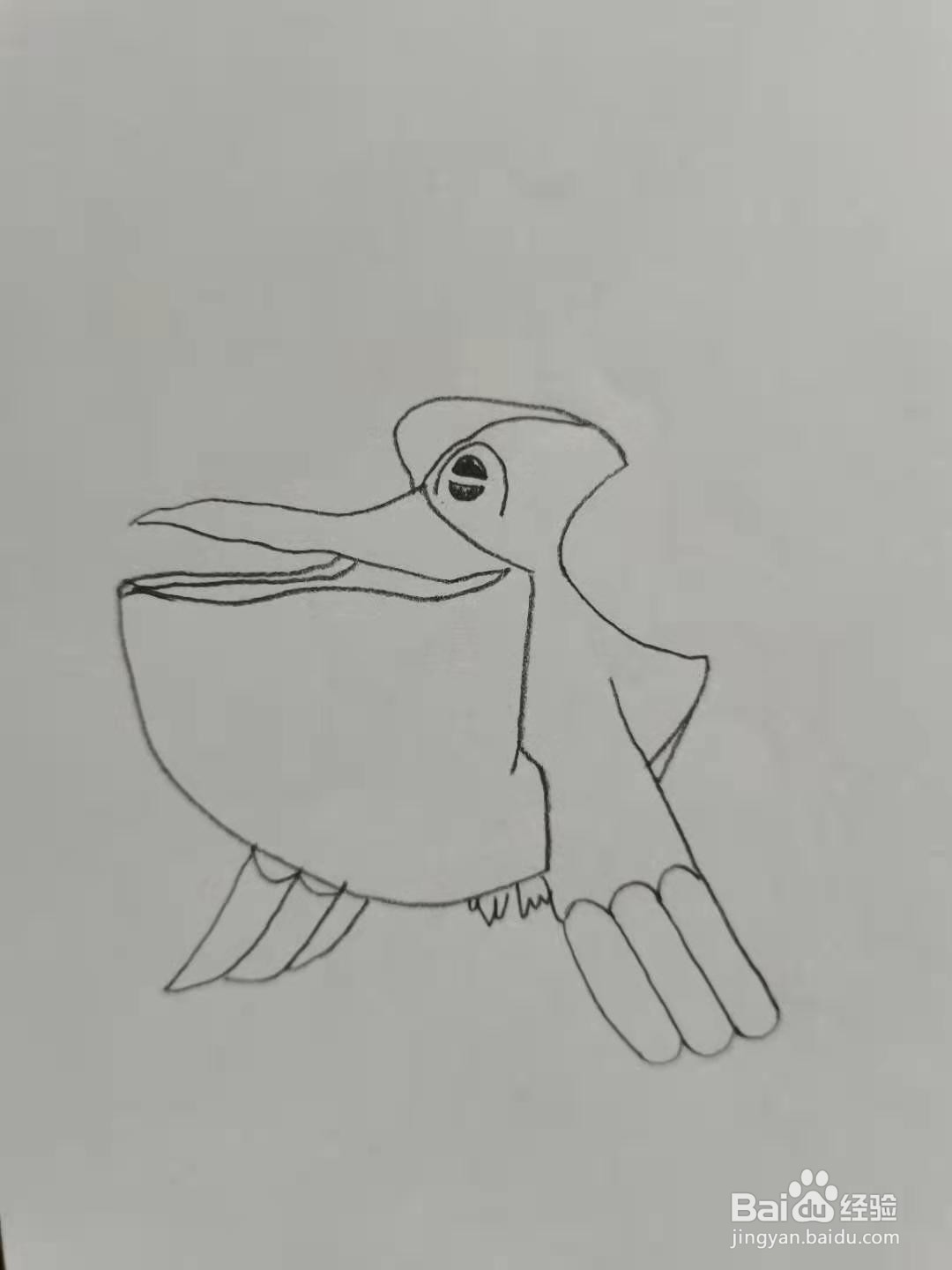大嘴鸥怎么画