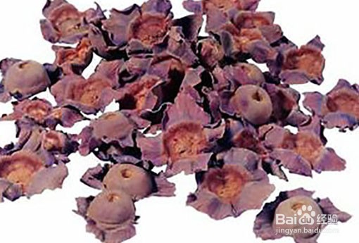 柿子的营养价值