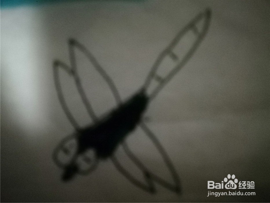 怎么样简笔画画蜻蜓