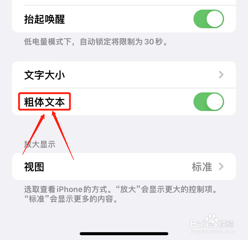 iPhone怎么打开粗体文本