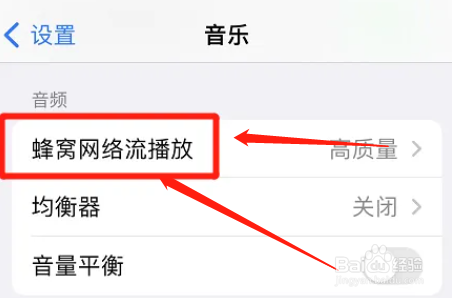 怎么避免苹果使用蜂窝网络流播放