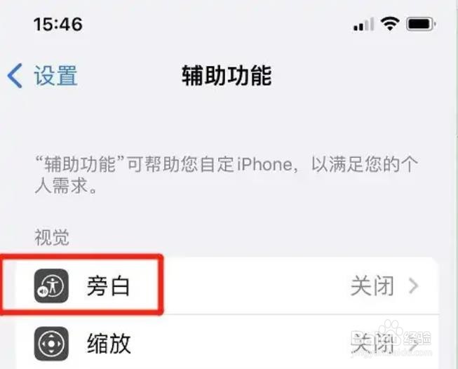 苹果手机旁白八点式盲文如何输出