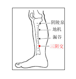 怎么让小腿变得纤细?