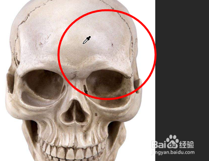 Photoshop教程——色相饱和度的应用