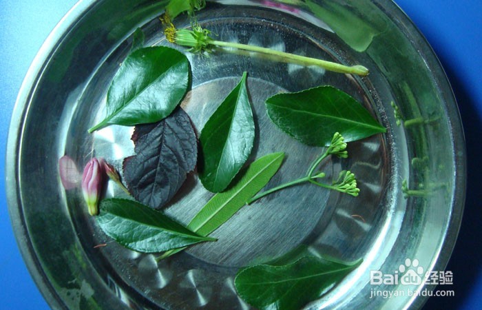 植物拼装画之田园之乐