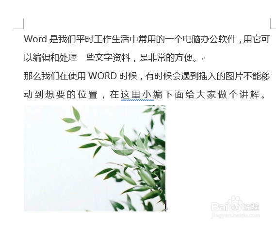 Word文档里的图片怎么随意移动位置