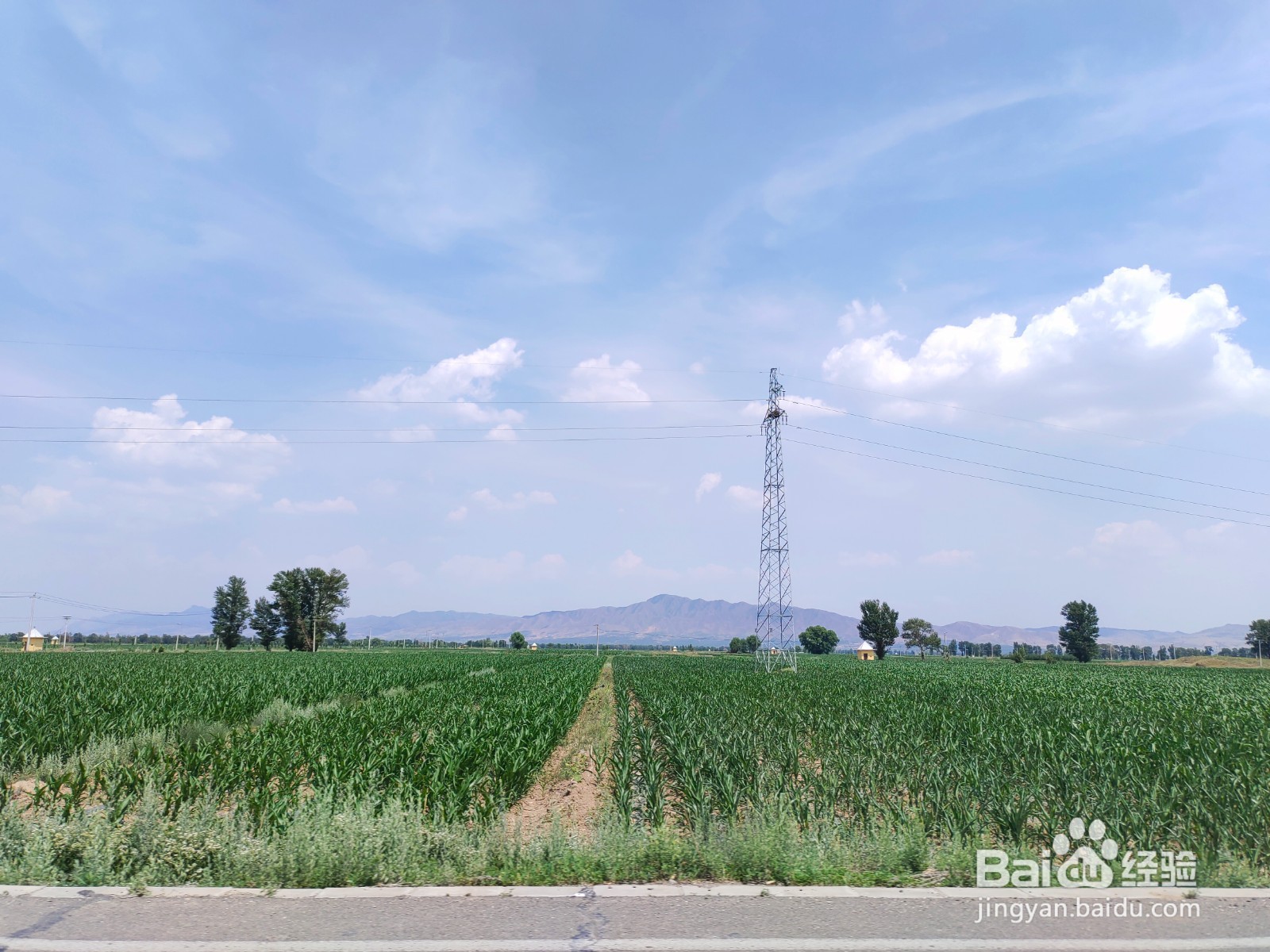 山西大同旅游攻略(三):应县木塔