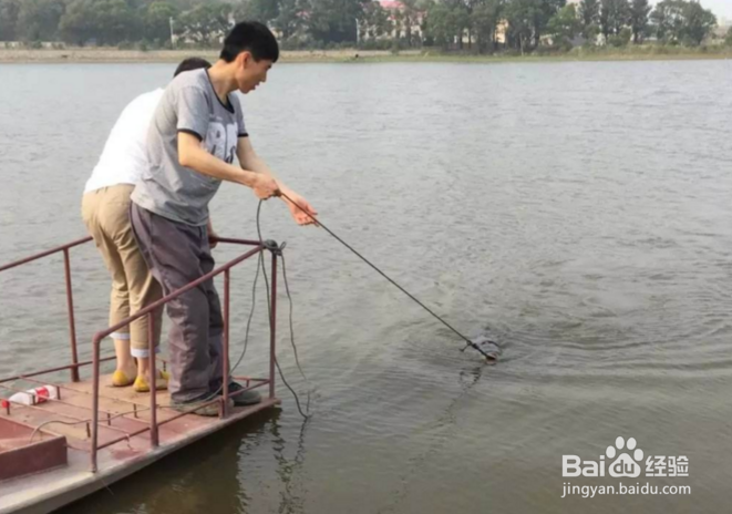 钓鱼哪个环结最重要？钓鱼饵料渔具线组窝料