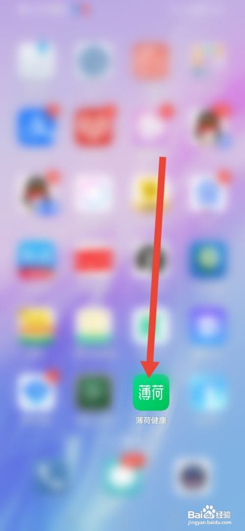 薄荷健康在哪来发动态