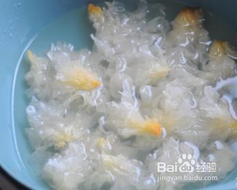 冰糖雪梨极速款