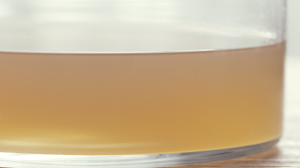 素高汤:烧菜调汁一级棒!