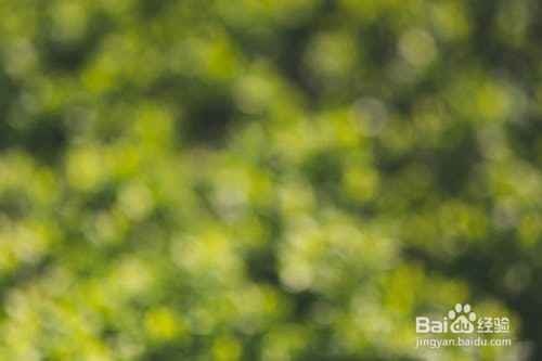 同学爸爸去世了怎么发短信安慰