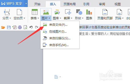 WPS文字怎样添加图片边框