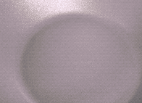 苦瓜炒蛋的做法