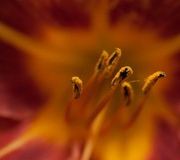 单反相机如何获得最佳画质