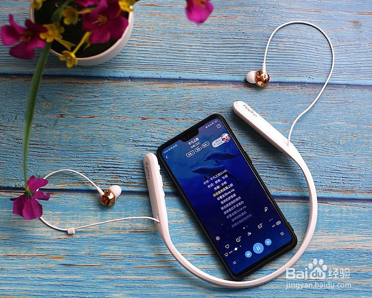 dyplay主动降噪蓝牙耳机功能使用