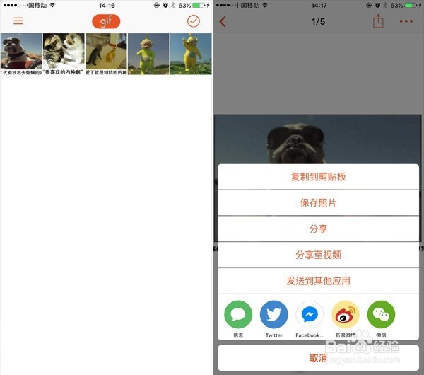 如何在iPhone上保存/发送动态表情？
