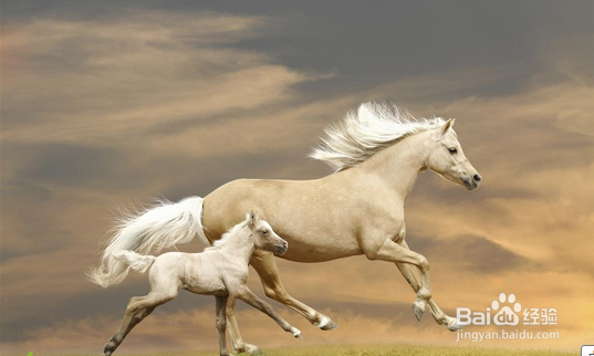 一碗面呢面呢面呢的汤