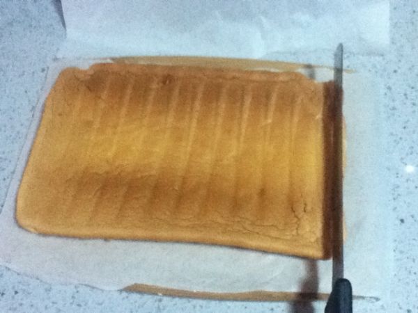 康乃馨彩绘蛋糕卷