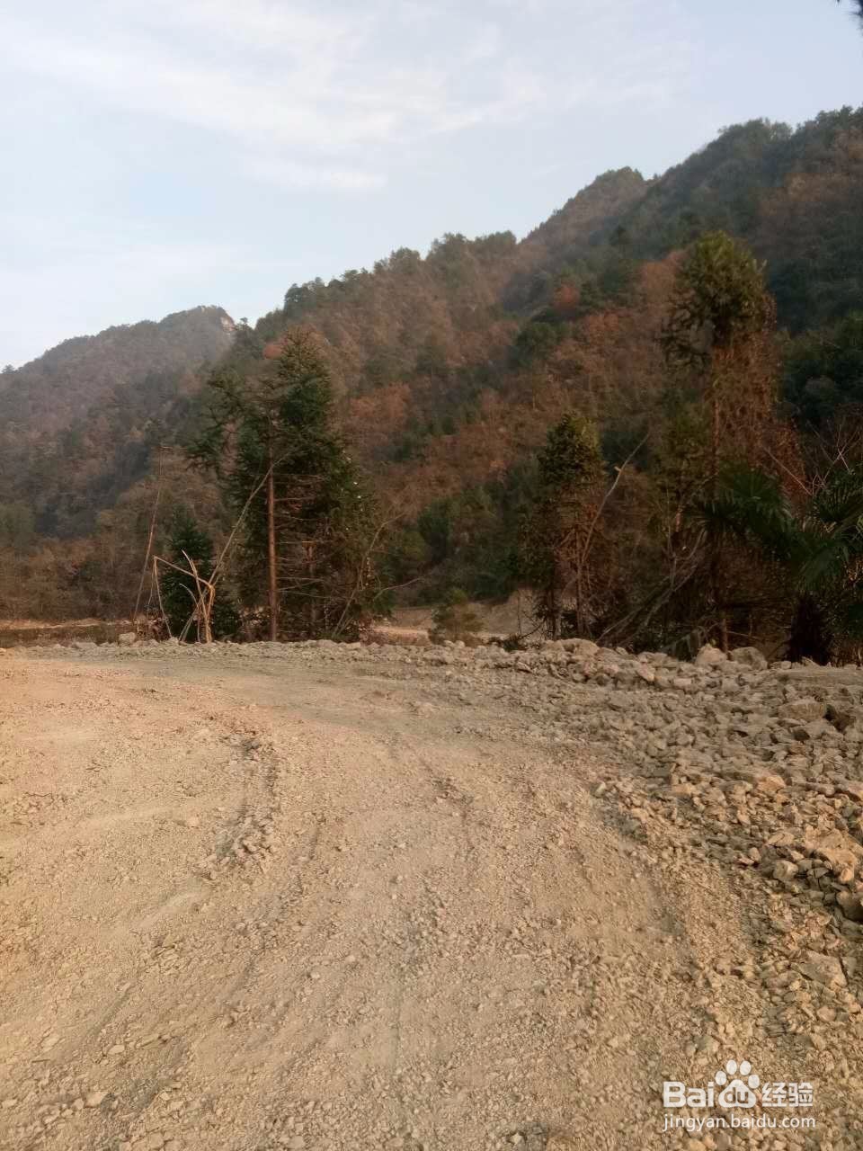 精准扶贫农家欢喜村民快乐记实