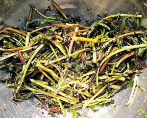 健康养生佳品腌香椿的做法