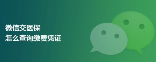 微信交医保怎么查询缴费凭证