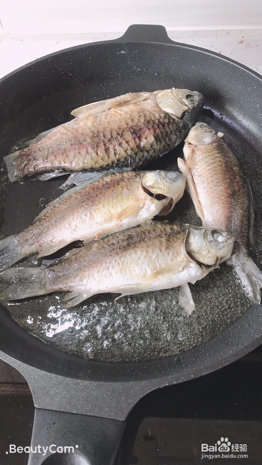 怎么做红烧鲫鱼