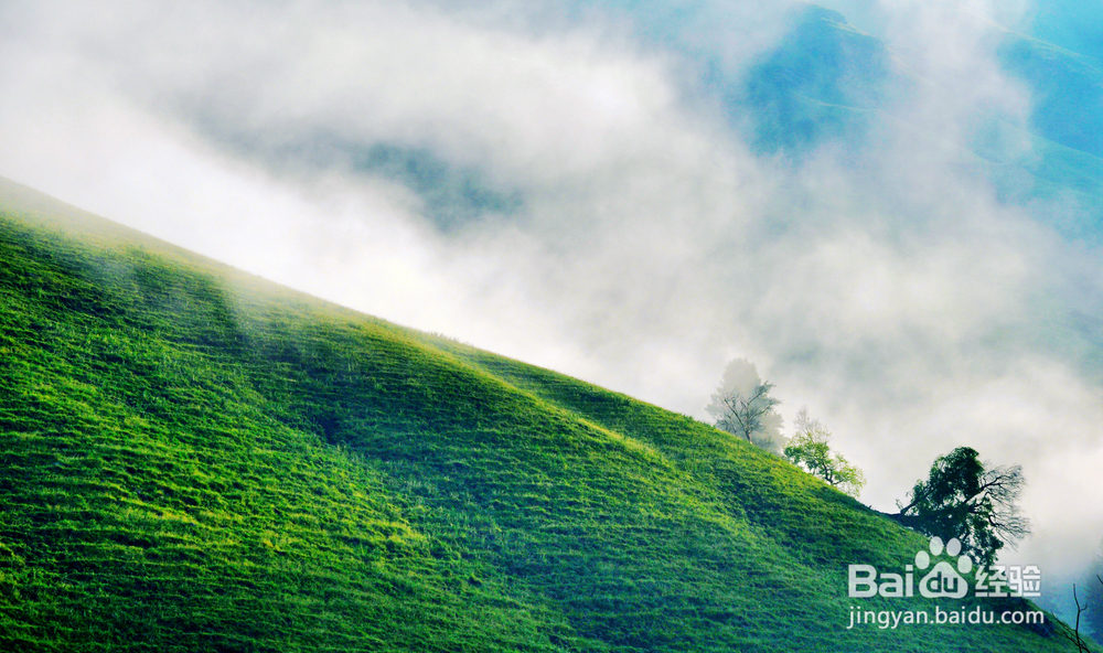 新疆天山，不仅有瀚海黄沙，更有雄伟壮阔
