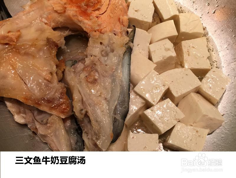 三文鱼牛奶豆腐汤的做法