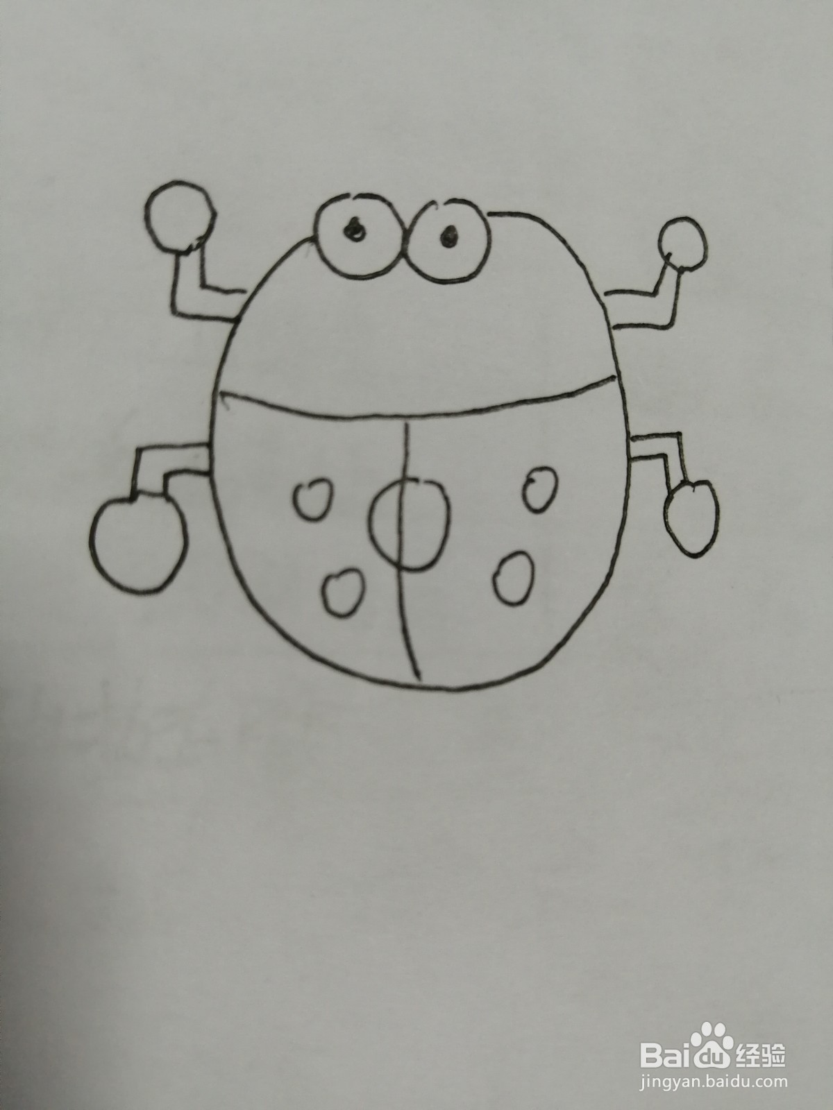 简笔画小瓢虫怎么画