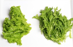 水果虾仁油条沙拉