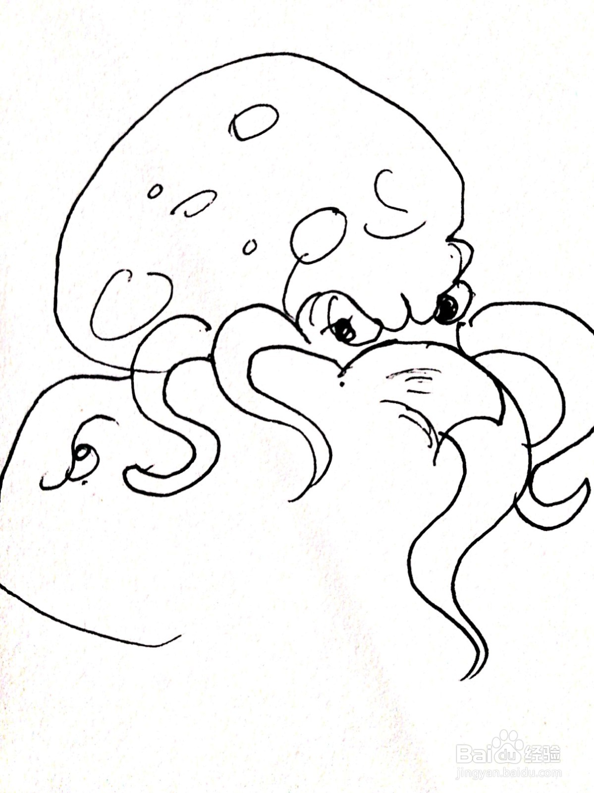 章鱼怎么画最简单可爱图片