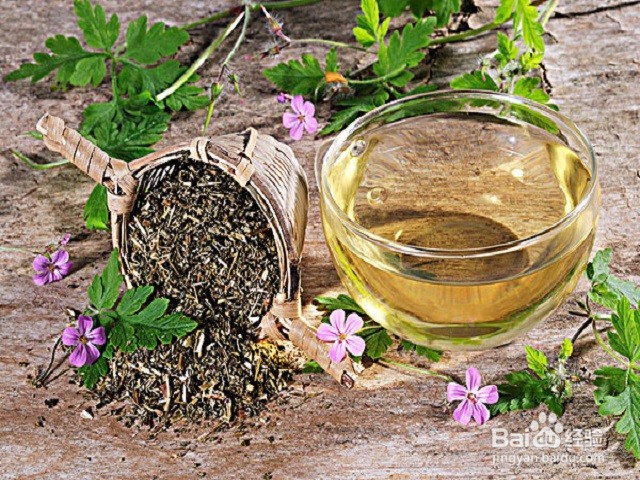 鱼腥草怎么煮水喝
