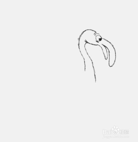 简笔画火烈鸟是怎么画的