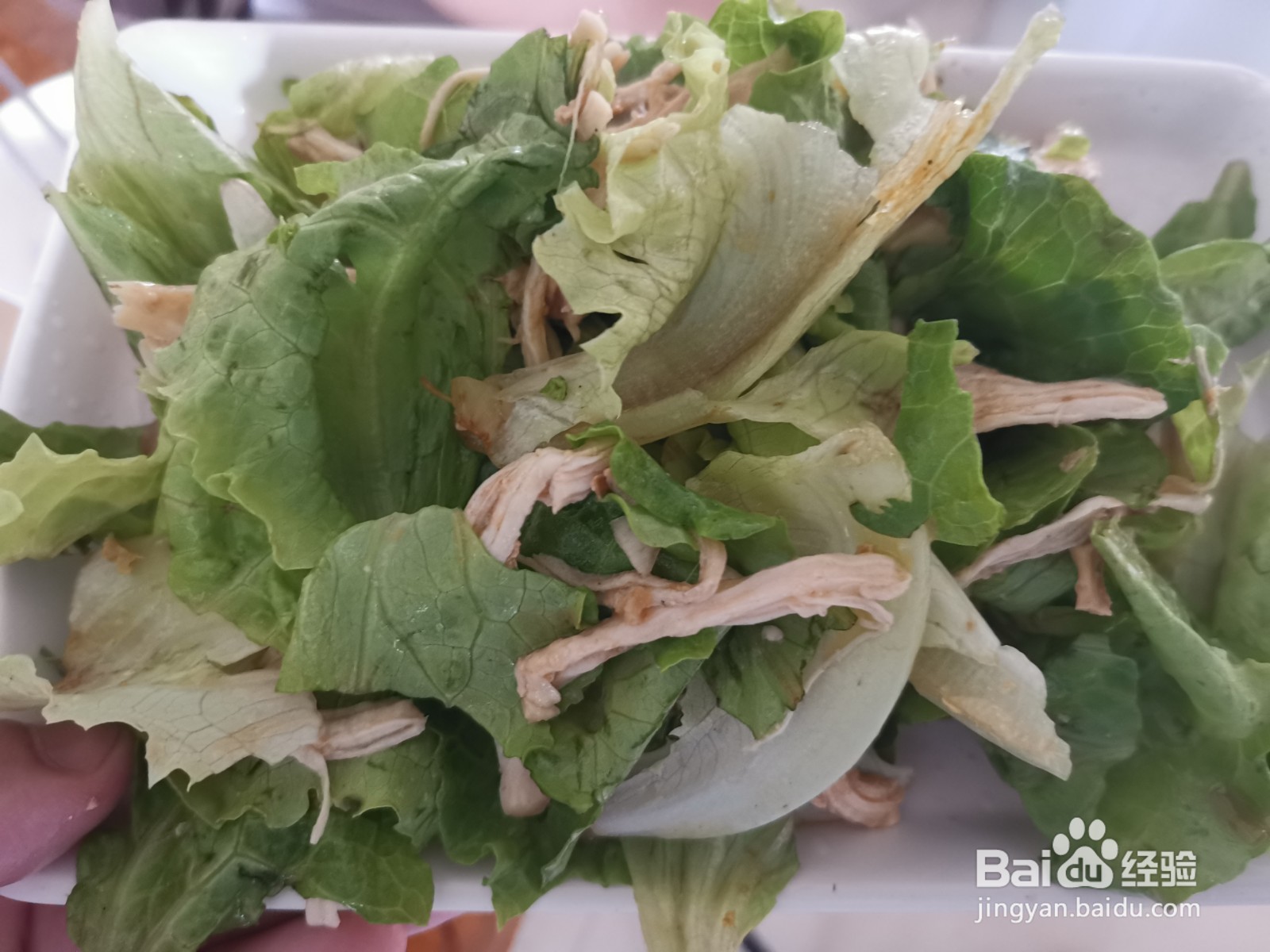 鸡蛋酱鸡胸肉拌生菜