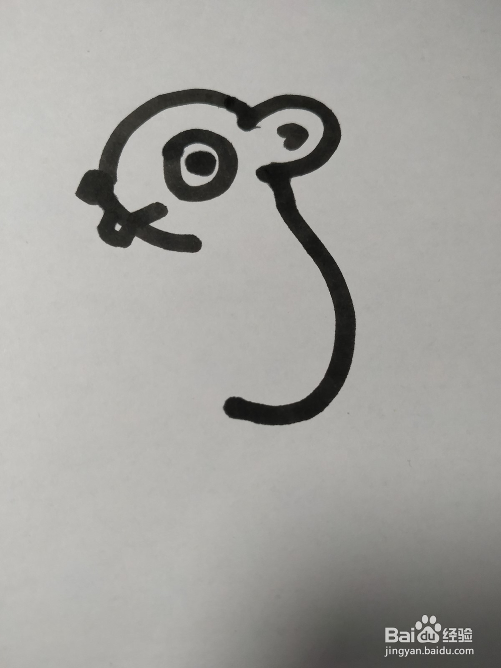 老鼠的简笔画技法42