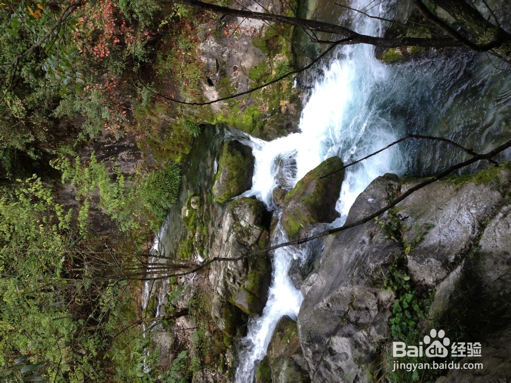 三门峡桃花谷,自驾游有你好看!
