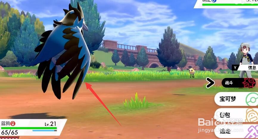 尼多王怎么进化