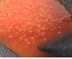 糖醋里脊（鸡肉版）