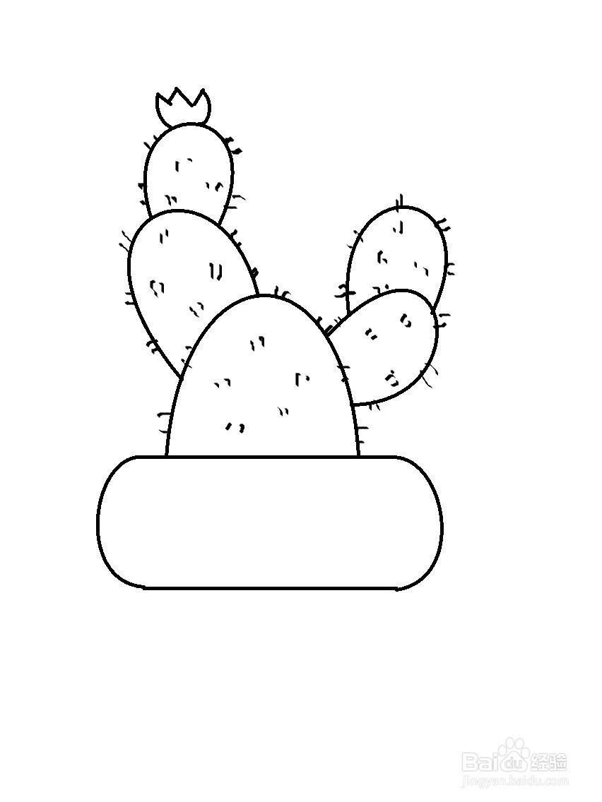 盆栽仙人掌的简单画法