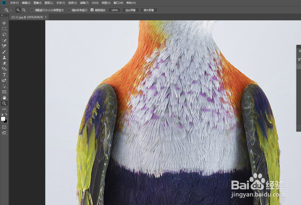 教你PS软件里面中如何快速放大、缩小。