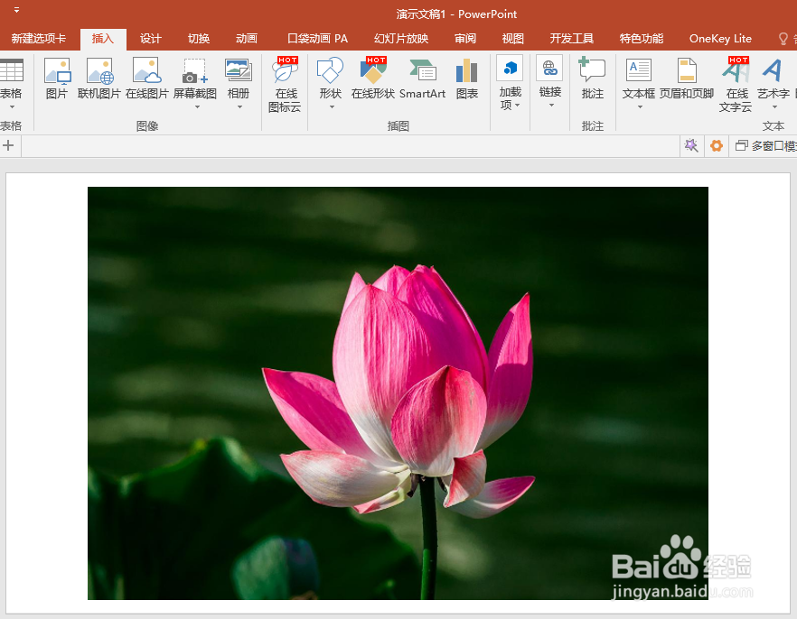 怎样使用PPT抠图