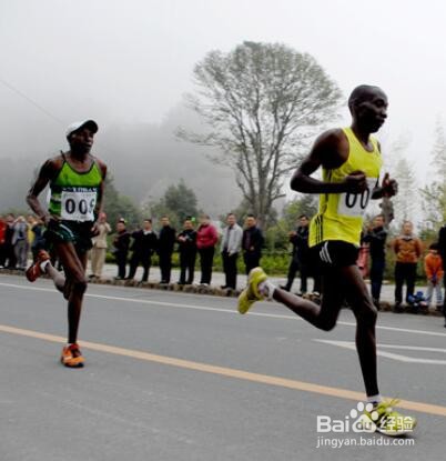 跑马拉松的技巧和方法