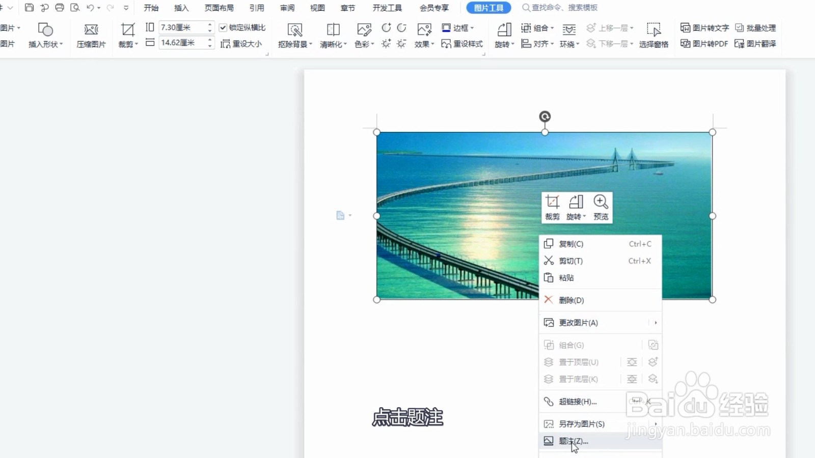 word图片下方标注文字