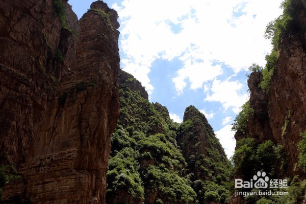 飞狐为邻,揭秘养在深闺中的空中草原!