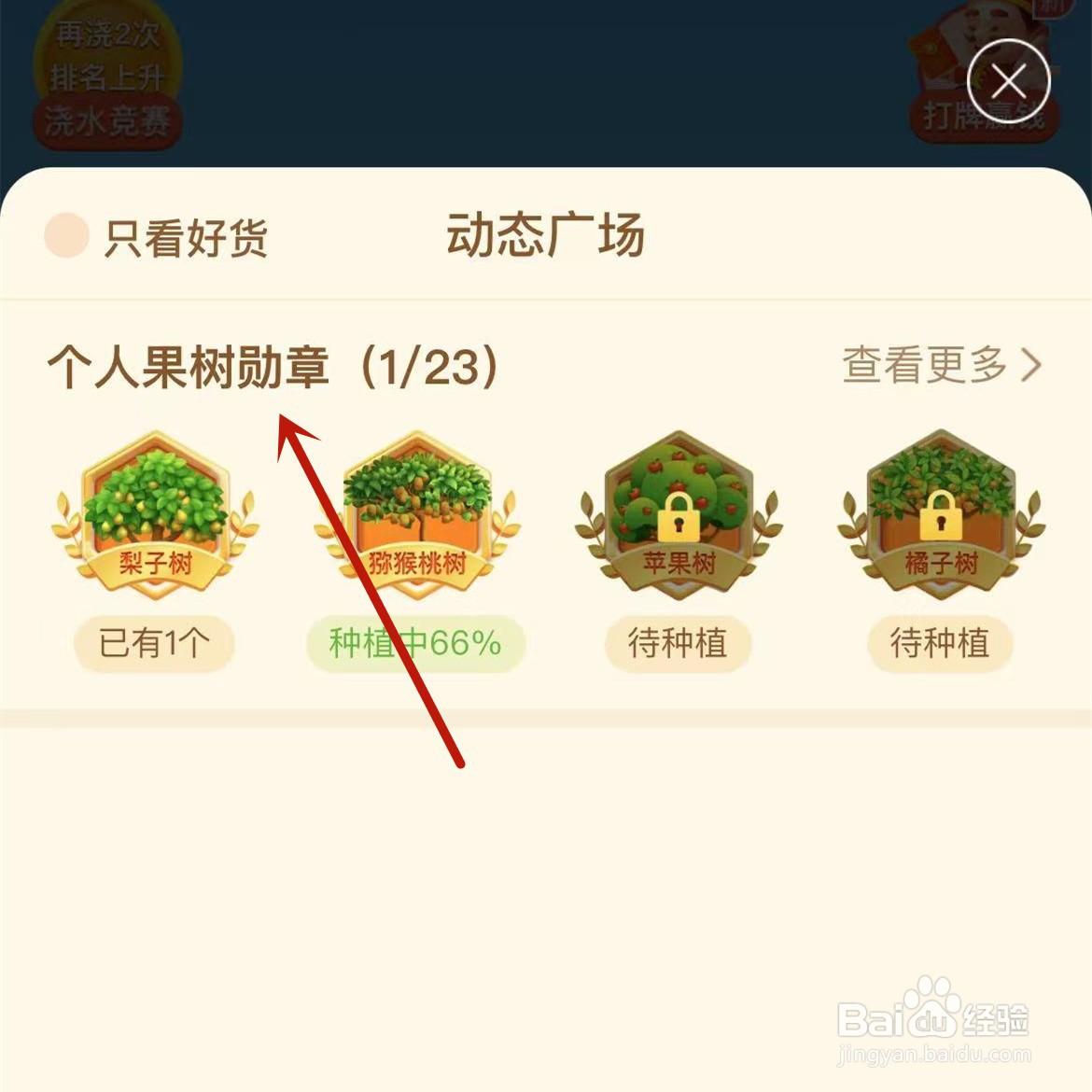 拼多多个人果树勋章在哪查看