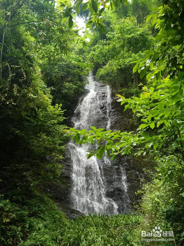 大光洞露营攻略